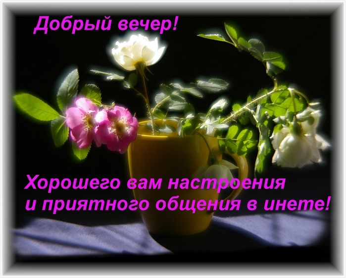 http://img1.liveinternet.ru/images/attach/b/2/24/1/24001031_dobruyy_vecher.jpg