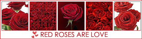 1185392723_18063447_Red_roses (470x129, 137Kb)