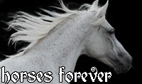 horses_forever