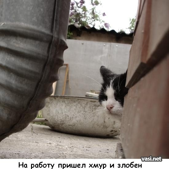  (550x549, 53Kb)