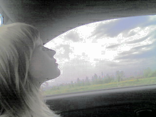 DSC00503 (320x240, 24Kb)