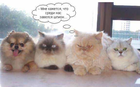  (575x358, 30Kb)