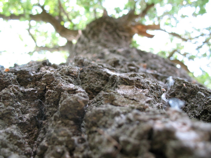  (700x525, 115Kb)