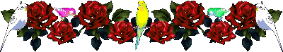 (400x74, 23Kb)
