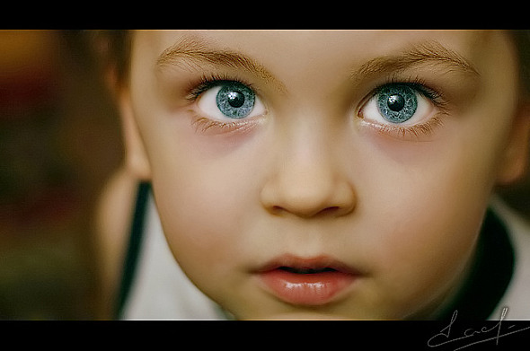 a6b169942 (590x391, 49Kb)
