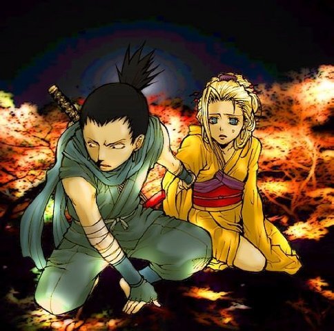  (484x480, 62Kb)