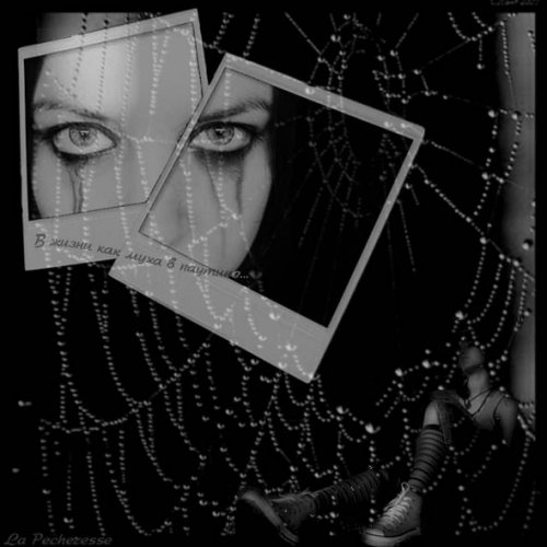 ~~~~~~~~~~~~~~~~ (500x500, 45Kb)