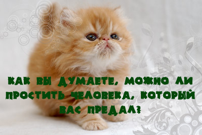 http://img1.liveinternet.ru/images/attach/b/2/24/600/24600026_11139_kopiya.jpg