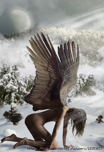 15224631 (341x499, 43Kb)