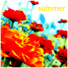 -2 (100x100, 50Kb)
