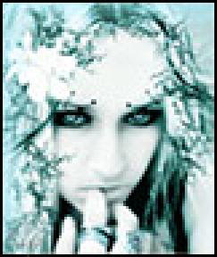  (243x288, 36Kb)