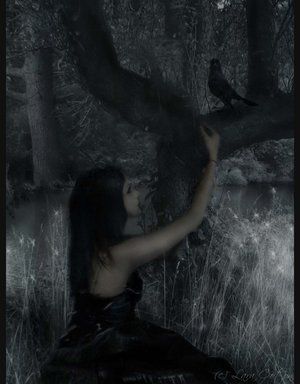 (300x384, 18Kb)