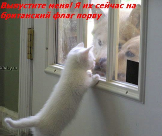  (540x454, 42Kb)