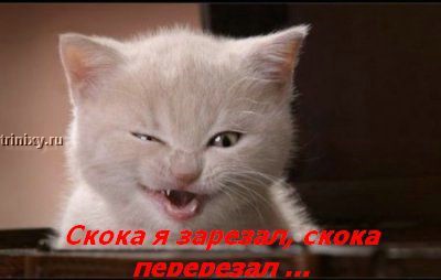  (400x254, 19Kb)