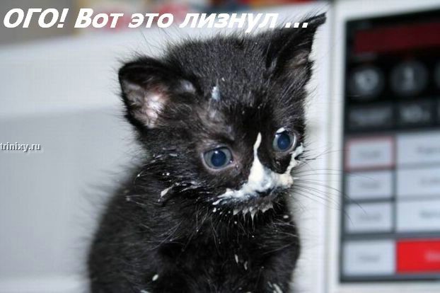 (622x414, 50Kb)