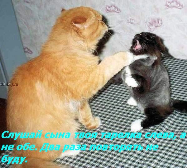  (600x540, 89Kb)