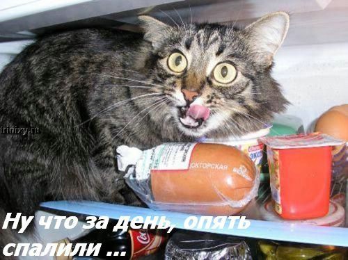  (500x374, 62Kb)