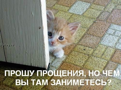  (500x375, 68Kb)