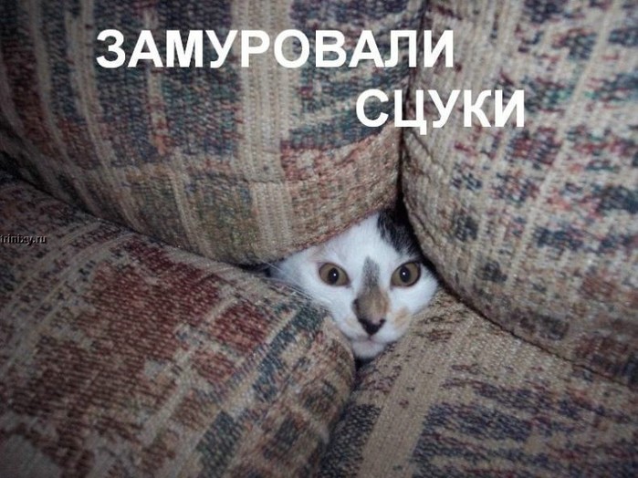  (699x524, 105Kb)
