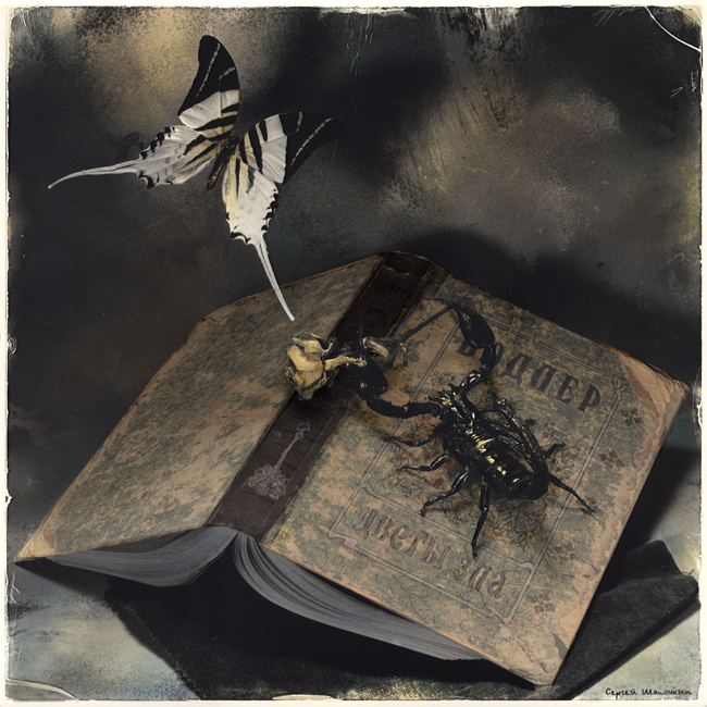  (650x650, 189Kb)