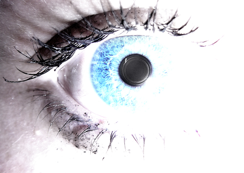  (500x354, 141Kb)