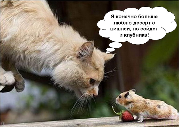  (700x498, 85Kb)