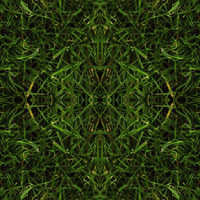 20575757_19404958_Put_ (200x200, 55Kb)