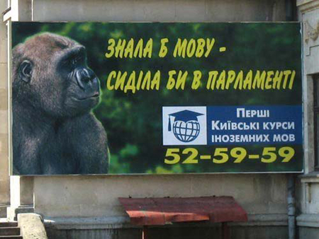  (450x338, 142Kb)