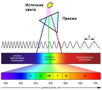 Частота растений. Цветовой спектр длина волны. Источники видимого света. Спектр цветов длина волны. Цветовой спектр частоты.