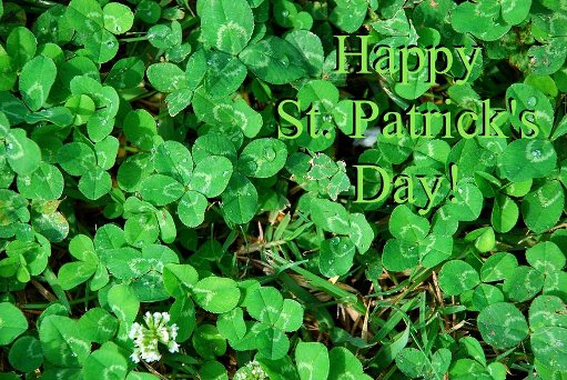 Happy_St__Patrick__s_Day_by_yabbles (511x342, 79Kb)