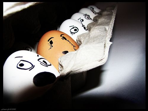  (500x375, 71Kb)