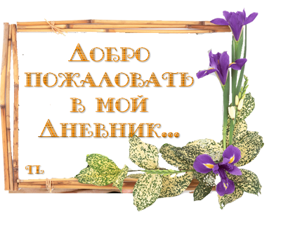  (400x353, 186Kb)