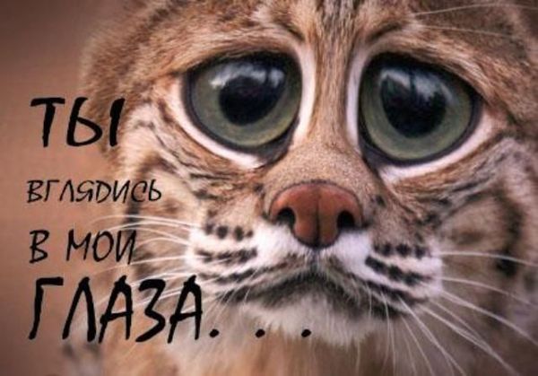  (600x419, 43Kb)
