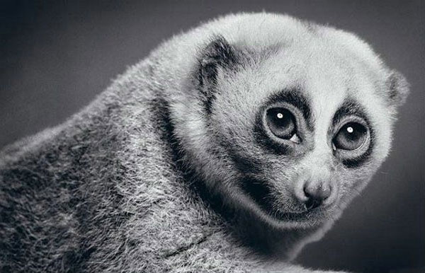  (600x386, 58Kb)
