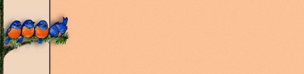  (595x145, 10Kb)