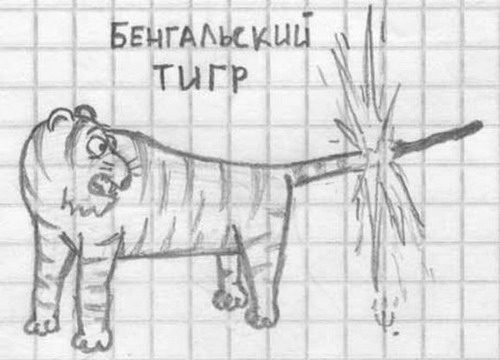  (500x360, 42Kb)