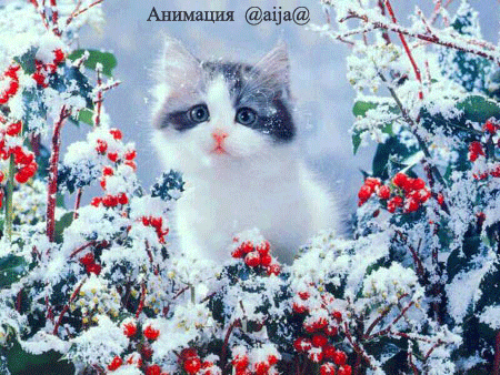 24768066_004 (450x338, 222Kb)