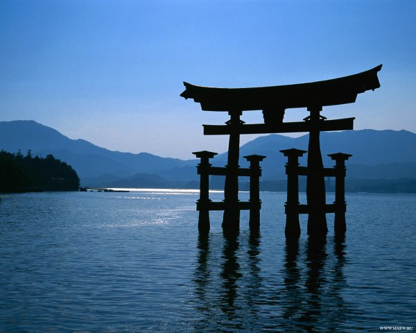  (600x480, 48Kb)