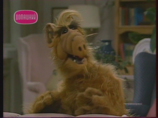  (640x480, 41Kb)