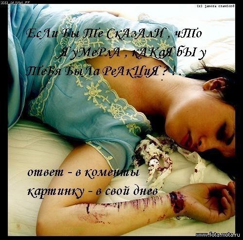  (500x495, 60Kb)