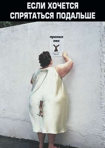  (339x480, 32Kb)