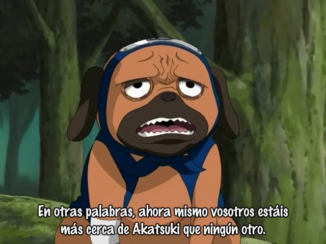  (640x480, 39Kb)