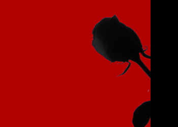  (350x250, 8Kb)