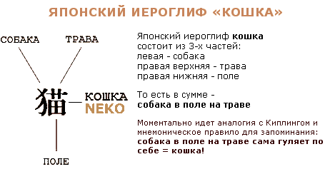 Суть иероглифа. Японский иероглиф кошка. Китайский иероглиф кошка. Кот по китайски иероглиф. Кот на японском языке.