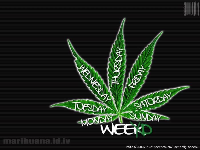 hemp3 (700x525, 126Kb)
