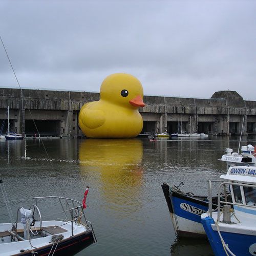  (500x500, 42Kb)