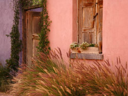Historic Adobe Home, Tucson, Arizona