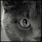  (150x150, 19Kb)