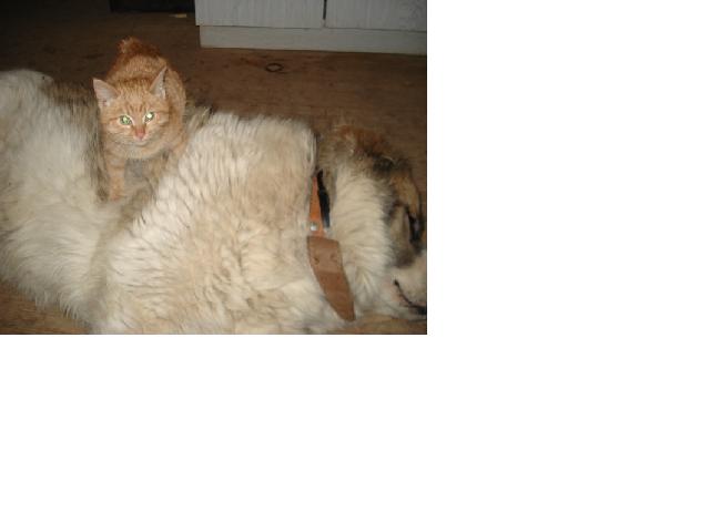  (640x480, 25Kb)