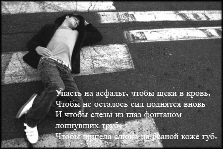  (450x300, 38Kb)